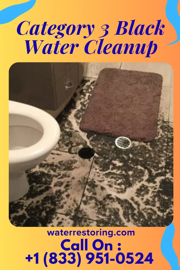 Category 3 Black Water Cleanup in Massapequa Park, NY