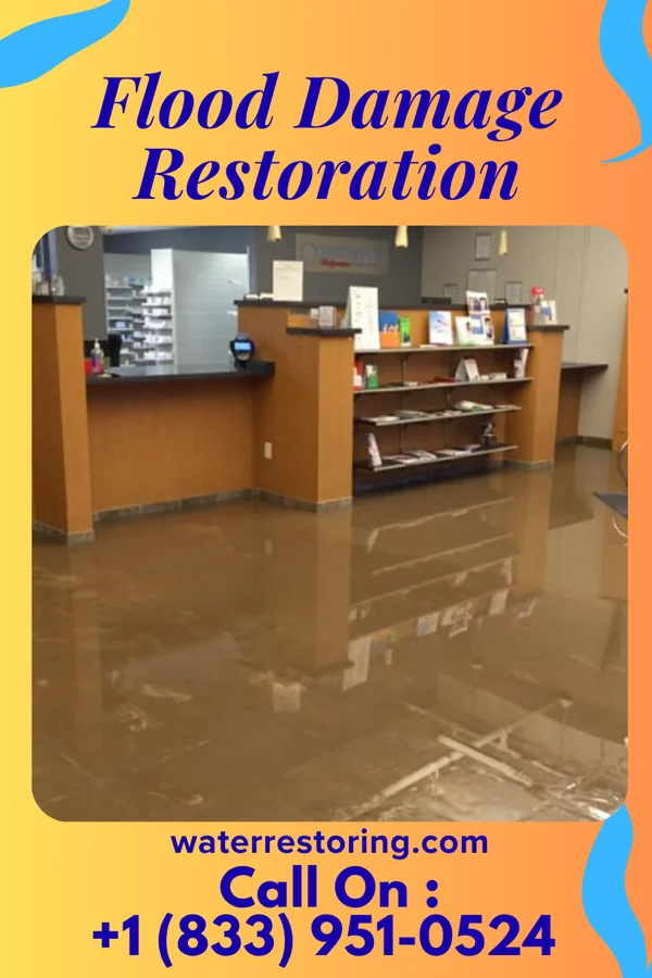 Flood Damage Restoration in Massapequa Park, NY