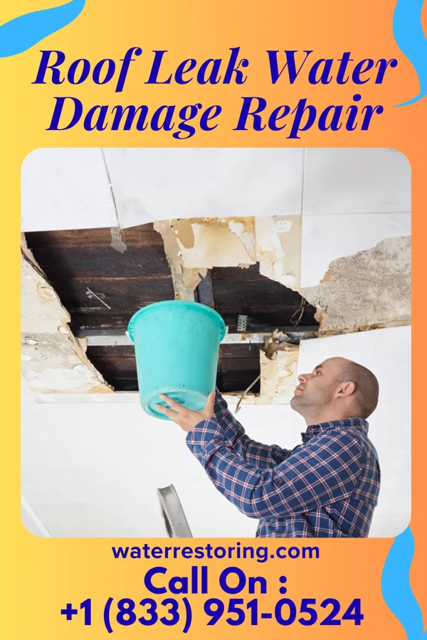 Roof Leak Water Damage Repair in Massapequa Park, NY