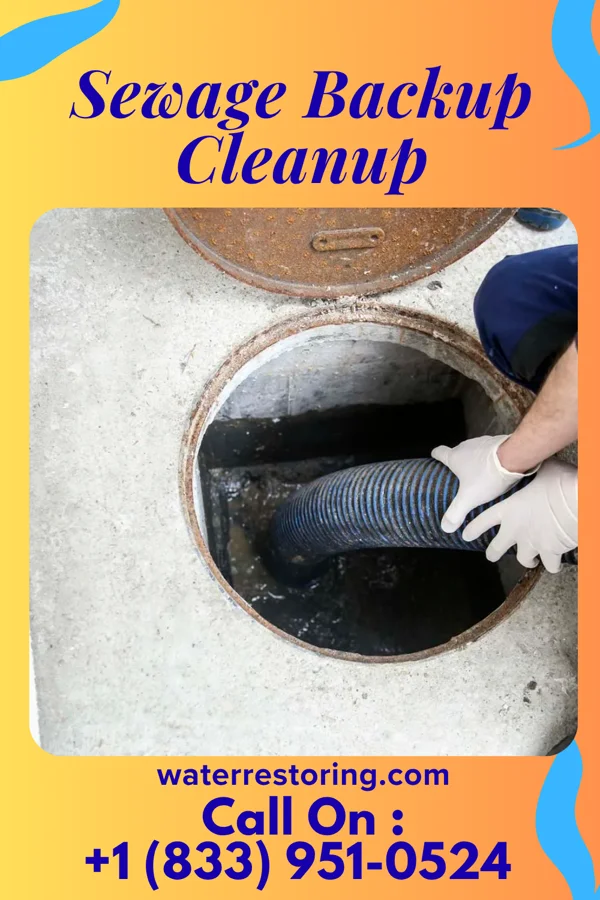 Sewage Backup Cleanup in Massapequa Park, NY