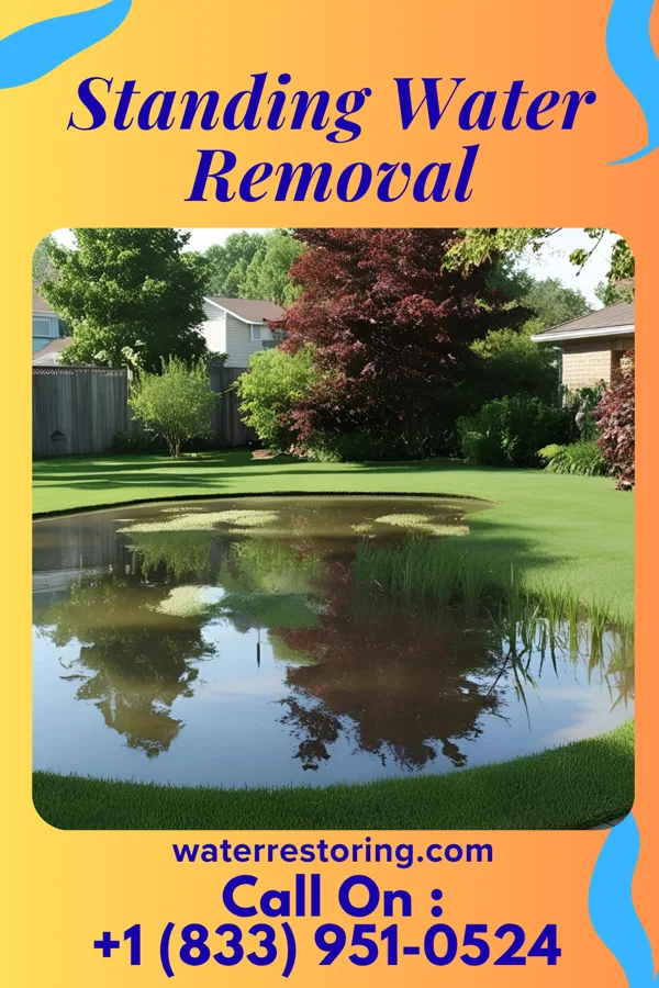 Standing Water Removal in Massapequa Park, NY